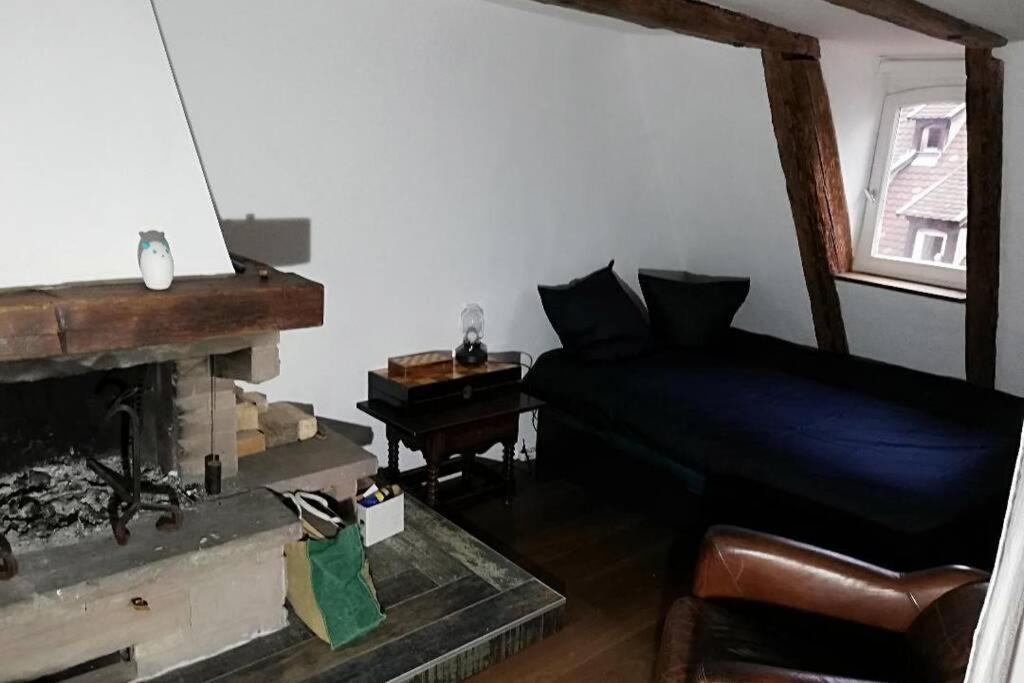 La Chaumiere Lägenhet Strasbourg Exteriör bild