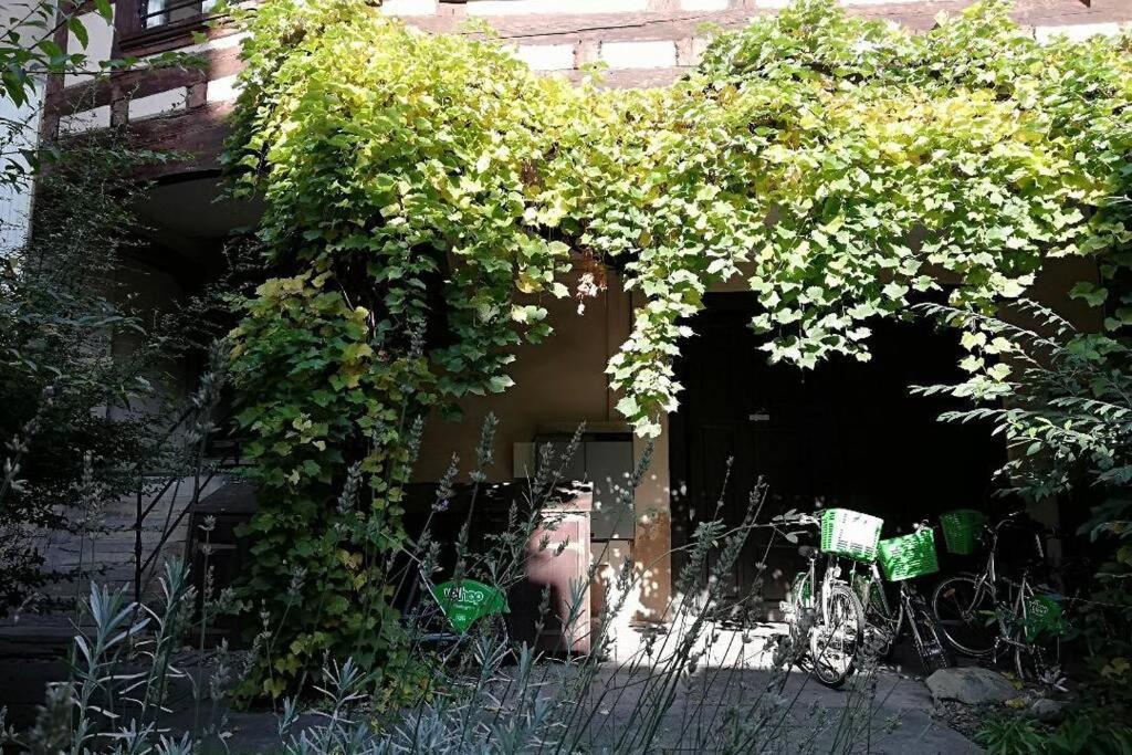 La Chaumiere Lägenhet Strasbourg Exteriör bild
